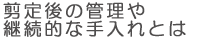 剪定後の管理や継続的な手入れとは